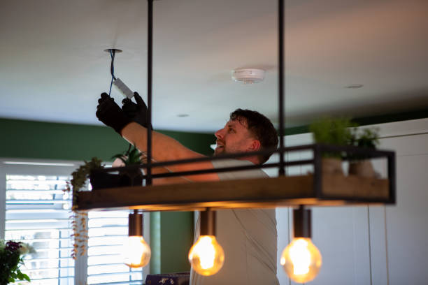 Best Electric Panel Repair  in Ithaca, MI