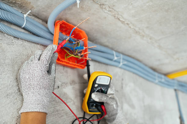 Best Home Electrical Repair  in Ithaca, MI